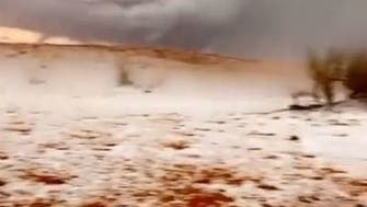 سردی نے سعودی عرب کی ریت کو موتیوں میں بدل دیا، دلوں کو چھو لینے والی ویڈیو
