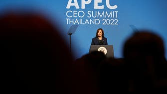 US VP Harris met briefly with China’s Xi at APEC: Official
