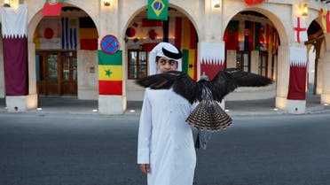 A boy holds a falcon in front of national flags in Doha.  (File photo: Reuters)