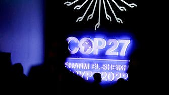 COP27 adopts ‘loss and damage’ fund for vulnerable nations hit by climate change