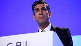 UK won’t align with EU laws in post-Brexit relationship, PM Sunak clarifies