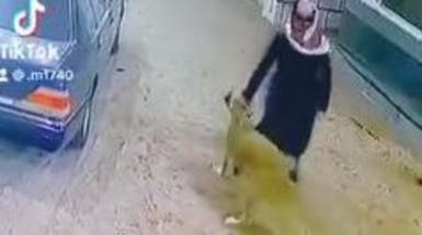 شاهد.. سعودي يتعرض لهجوم مباغت من حيوان مفترس