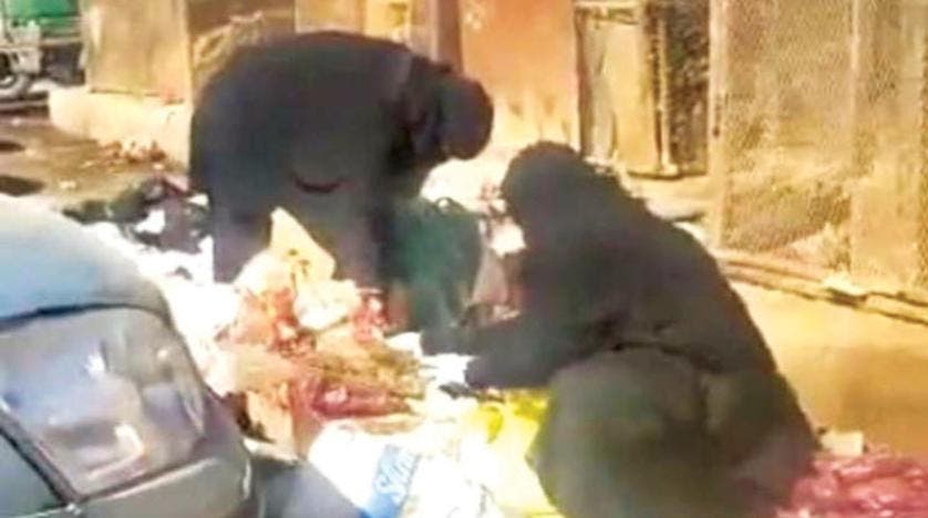 صورة متداولة لنساء في صنعاء يبحثن عن الطعام وسط القمامة