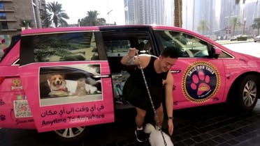A Dubai-based pet taxi offers around the clock chauffeuring services to fur-parents living in the busy metropolitan. (Screengrab: Reuters)