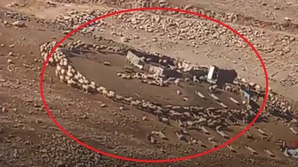 A suspicious scene appeared in China, then in Jordan.. The sheep turn on themselves