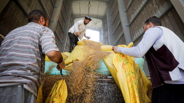رويترز: مصر تؤخر مدفوعات واردات القمح مع نقص السيولة الدولارية