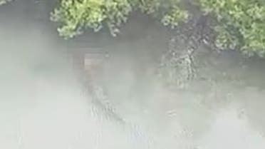 65169535-11494297-image-a-18_1669979498608