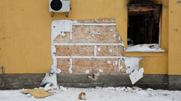 A local cat sits in a front of wall of a residential building, heavily damaged during Russian invasion, from which a group of people tried to steal the work of street artist Banksy, in the town of Hostomel, Kyiv region, Ukraine December 3, 2022. REUTERS/Valentyn Ogirenko
