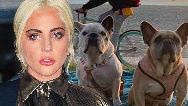 21 years in prison for one of the kidnappers of Lady Gaga’s dogs