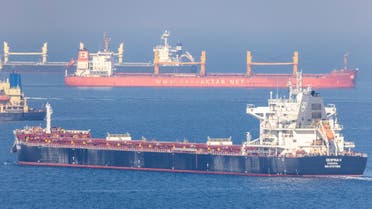 سفن تحمل الحبوب الأوكرانية في البحر الأسود قرب اسطنبول - رويترز