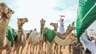 مهرجان الإبل في السعودية.. قصة فعالية محلية تحولت لحدث عالمي