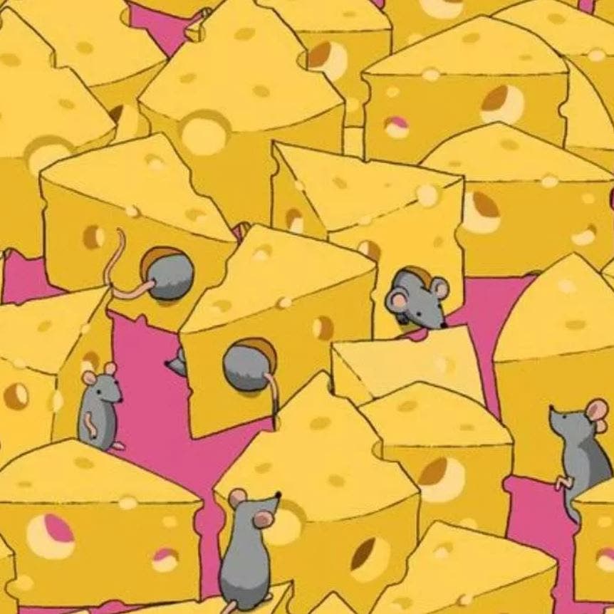 1 % فقط عثروا على النرد بين الفئران وقطع الجبن بـ11 ثانية.. فهل أنت منهم؟