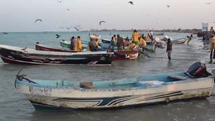 اليمن.. إطلاق سراح صيادين عقب أشهر من احتجازهم في إريتريا 