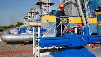 Zelenskyy proposes extension of Ukraine’s gas export ban