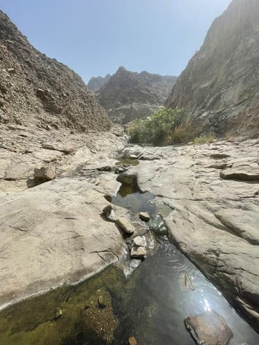 Hiking in the UAE. (Twitter)