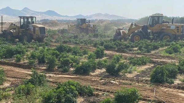 Opening of a survey file on farms irrigated with wastewater