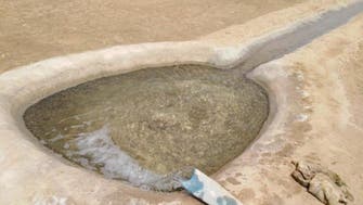 سعودی عرب: سیوریج کے پانی  کو آب پاشی کے لیے استعمال کیے جانے کے واقعے کی تحقیقات