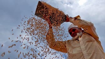 India to spend $24 bln on free grains for 800 million people for a year