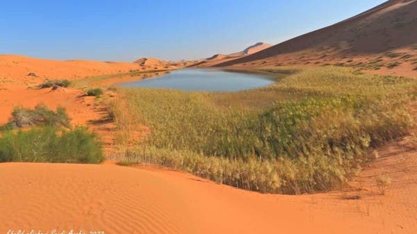 This is how the world’s largest desert put on a winter outfit