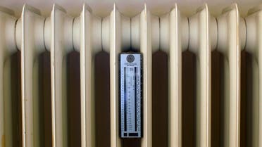 A heater with a meter is pictured in a Munich living-room February 5, 2012. REUTERS/ (GERMANY - Tags: ENERGY ENVIRONMENT)