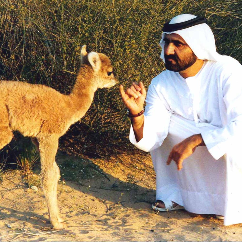 1000px x 1000px - Timeline: Sheikh Mohammed as 17-year Ruler of Dubai | Al Arabiya English