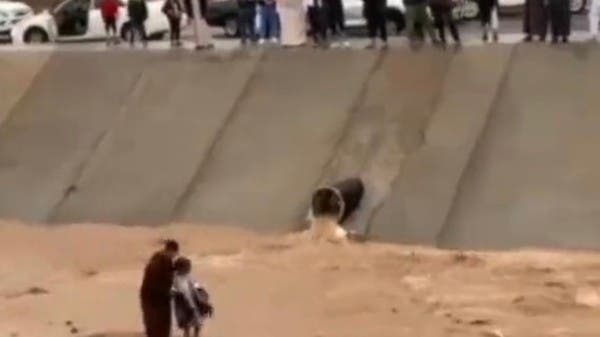 A breathtaking scene of a child being rescued from a creek in Medina