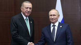 Putin will visit Turkey next month: Erdogan