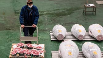 Japanese tuna sells for over $27,000 at New Year auction