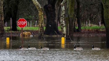 High water levels caused by stormwater flood Discovery Park, located in the convergence of the Sacramento River and the American River, in Sacramento, California, U.S. January 4, 2023. (Reuters)