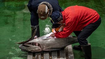 جاپان میں 2023 کی پہلی نیلامی میں ٹونا مچھلی دو لاکھ 66 ہزار ڈالر میں فروخت