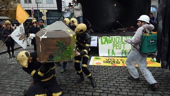 EU eyes more help for shrinking bee populations
