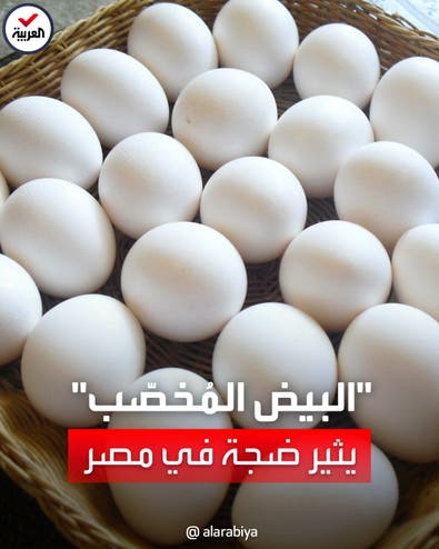 "البيض المُخصّب" يثير ضجة في مصر تزامناً مع أزمة الغلاء: هل يصلح للأكل؟