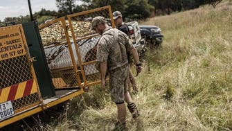 US announces anti-poaching task force with South Africa