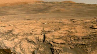 ناسا مقادیر زیادی سنگ‌ قیمتی در مریخ کشف کرد