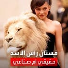 بأسد ونمر وذئب أسود.. عرض أزياء لدار "شيابارلي" يثير الجدل