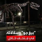 أكبر متحف للديناصورات في أوروبا يفتتح أبوابه أمام الجمهور بداية أبريل