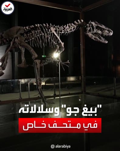 أكبر متحف للديناصورات في أوروبا يفتتح أبوابه أمام الجمهور بداية أبريل