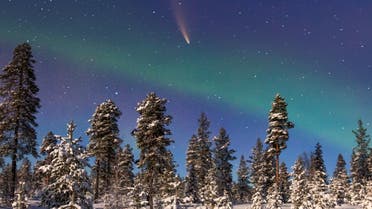 Rare green comet will appear in night sky for first time since Stone Age.