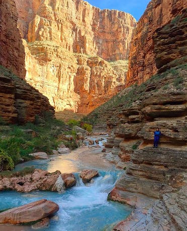 جمال الجزائر