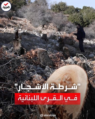متطوعون لبنانيون يطاردون مرتكبي مجازر الأشجار