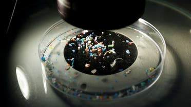 Marine scientist Anna Sanchez Vidal shows microplastics collected from the sea with a microscope at Barcelona's University, during a research project Surfing for Science to assess contamination by microplastics on the coastline, in Barcelona, Spain, July 5, 2022. (File photo: Reuters)