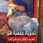 تجربة علمية "ثورية" قد تعيد طائر الـ"دودو" المنقرض منذ 4 قرون