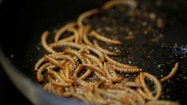 Fried mealworms cooking in a pot are seen. (File photo: Reuters)