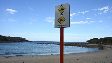 A public order notice is seen near the site of a fatal shark attack off Little Bay Beach in Sydney on February 17, 2022, as authorities deployed baited lines to try to catch a giant great white shark that devoured an ocean swimmer, the city's first such attack in decades. (AFP)