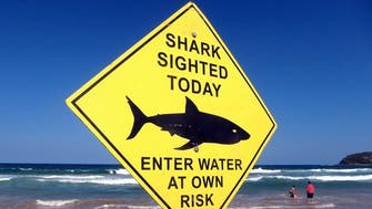 Shark kills Australian tourist swimming off Pacific island