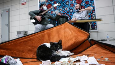 Buskers perform in a subway station as a cat rests in their instrument case, used for collecting money from passersby, in Istanbul, Turkey, January 21, 2022. (Reuters)