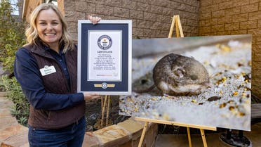 This undated handout image courtesy of the San Diego Zoo Wildlife Alliance shows Debra from the San Diego Zoo Wildlife Alliance holding the Guinness World Record certificate of “Pat,” a Pacific pocket mouse fondly named after actor Sir Patrick Stewart. (AFP)