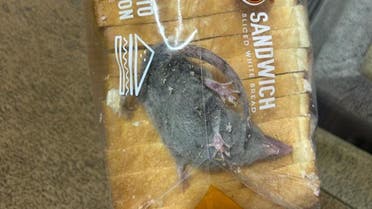 Live rat found in a packet of bread. (Twitter)