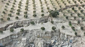 زلزلے سے زمین پھٹ گئی، ترکیہ میں زیتون کا باغ کئی ٹکڑوں میں تقسیم