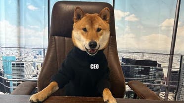 Elon Musk tweeted a photo of his dog captioned “The new CEO of Twitter is amazing” on February 15, 2022. (Twitter)